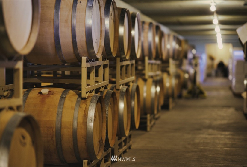 1 Vineyard, Wenatchee, Washington 98801, ,Commercial Sale,For Sale,Vineyard,NWM1870073