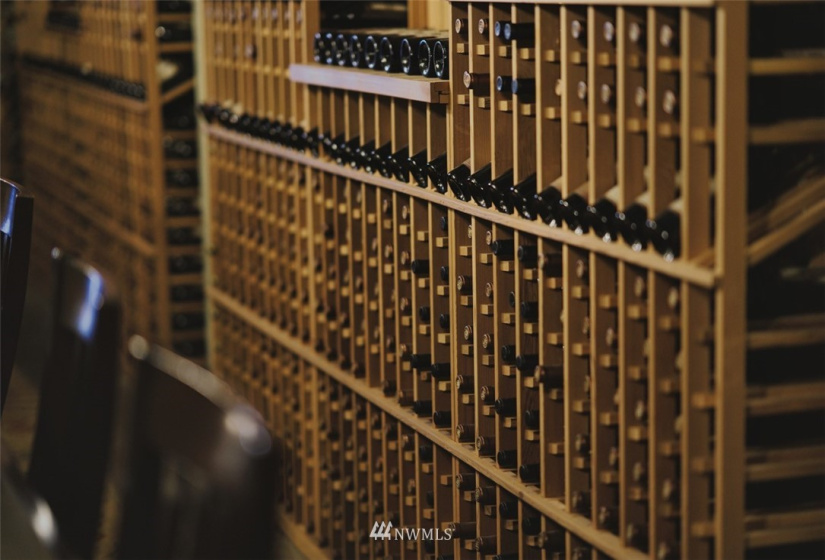 1 Vineyard, Wenatchee, Washington 98801, ,Commercial Sale,For Sale,Vineyard,NWM1870073