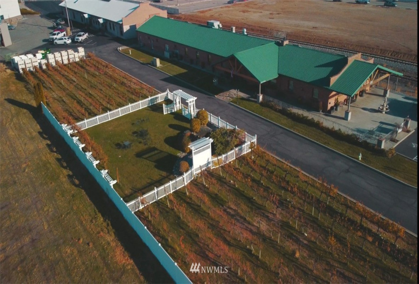1 Vineyard, Wenatchee, Washington 98801, ,Commercial Sale,For Sale,Vineyard,NWM1870073