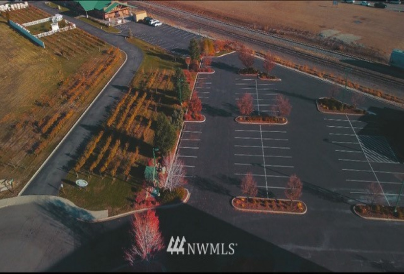 1 Vineyard, Wenatchee, Washington 98801, ,Commercial Sale,For Sale,Vineyard,NWM1870073