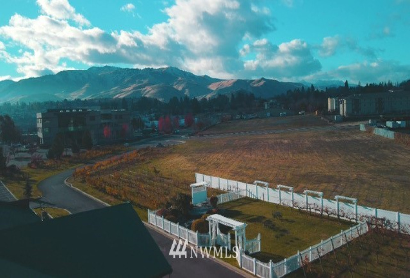 1 Vineyard, Wenatchee, Washington 98801, ,Commercial Sale,For Sale,Vineyard,NWM1870073