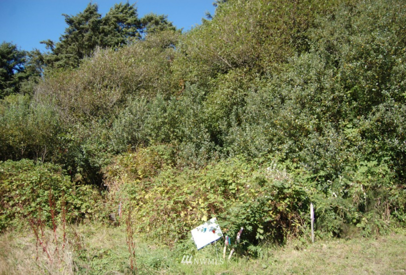 68 Sunset, Moclips, Washington 98562, ,Land,For Sale,Sunset Beach,Sunset,NWM1868363