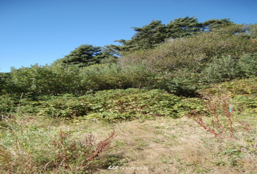 68 Sunset, Moclips, Washington 98562, ,Land,For Sale,Sunset Beach,Sunset,NWM1868363