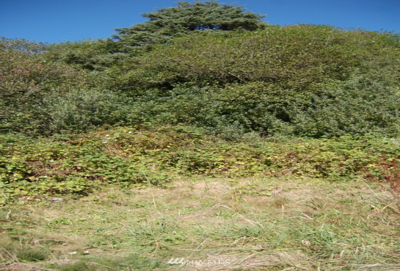 68 Sunset, Moclips, Washington 98562, ,Land,For Sale,Sunset Beach,Sunset,NWM1868363