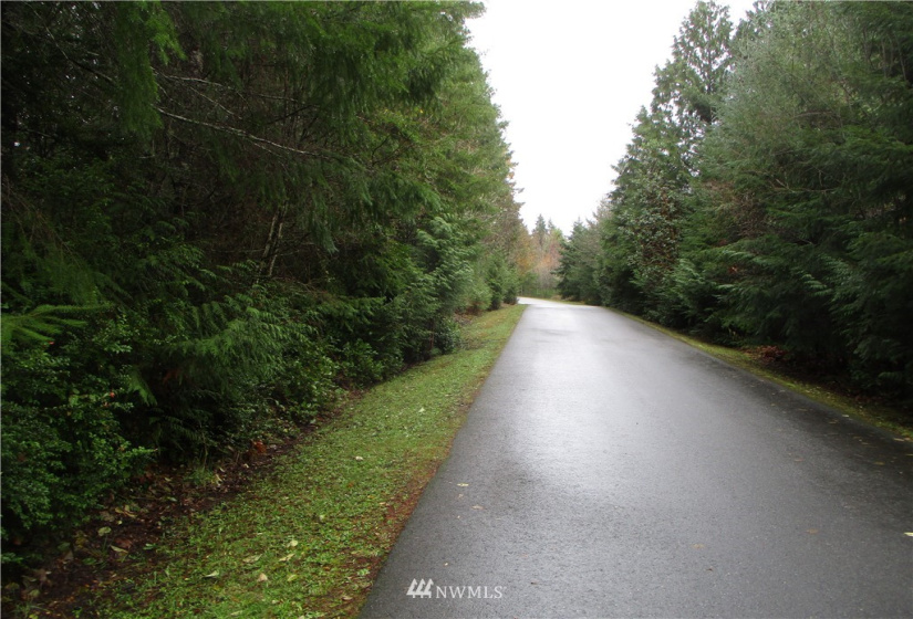 0 Lot 4 of SP #2160 (R) PTN NW NE 23-21-2, Grapeview, Washington 98546, ,Land,For Sale,SP #2160 (R) PTN NW NE 23-21-2,NWM1870550