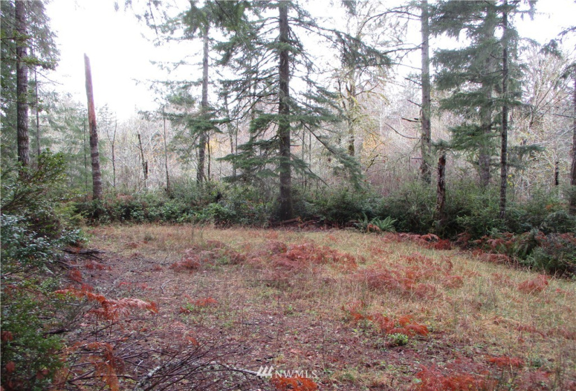 0 Lot 4 of SP #2160 (R) PTN NW NE 23-21-2, Grapeview, Washington 98546, ,Land,For Sale,SP #2160 (R) PTN NW NE 23-21-2,NWM1870550