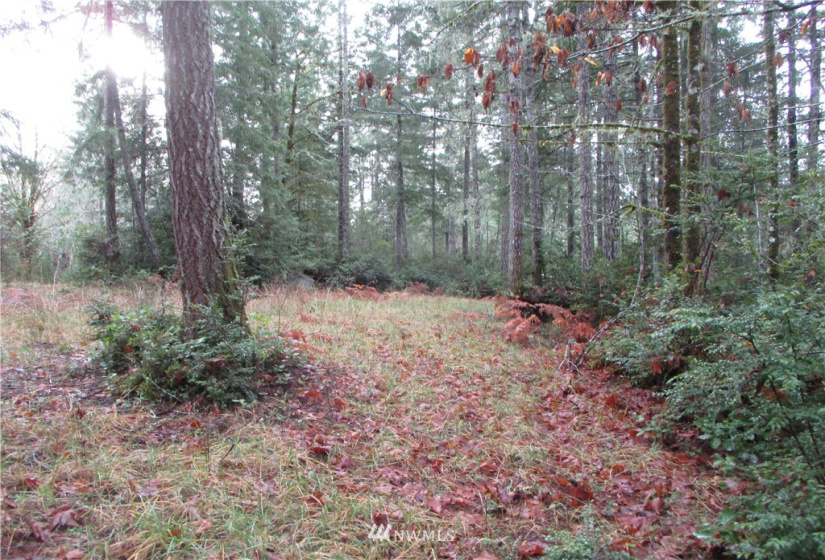 0 Lot 4 of SP #2160 (R) PTN NW NE 23-21-2, Grapeview, Washington 98546, ,Land,For Sale,SP #2160 (R) PTN NW NE 23-21-2,NWM1870550