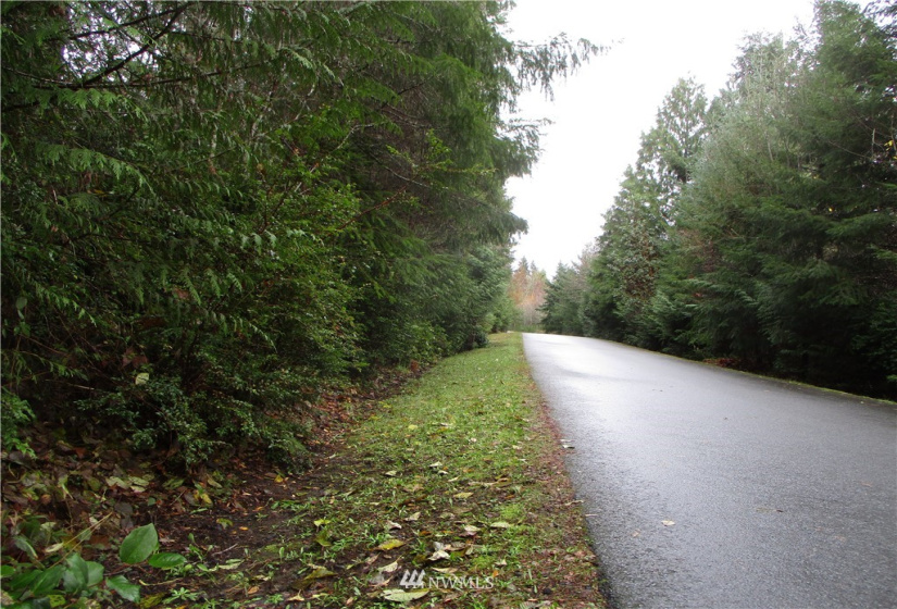 0 Lot 4 of SP #2160 (R) PTN NW NE 23-21-2, Grapeview, Washington 98546, ,Land,For Sale,SP #2160 (R) PTN NW NE 23-21-2,NWM1870550
