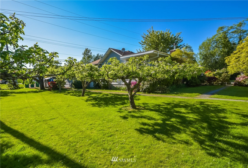 1605 D, Anacortes, Washington 98221, 3 Bedrooms Bedrooms, ,1 BathroomBathrooms,Residential,For Sale,D,NWM1870721