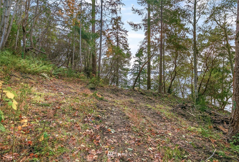 0 3rd, Fox Island, Washington 98333, ,Land,For Sale,3rd,NWM1860983