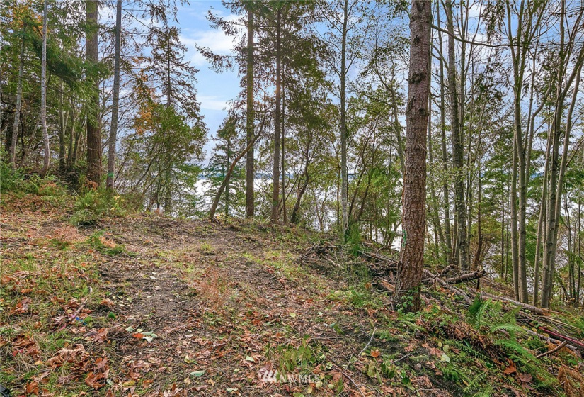 0 3rd, Fox Island, Washington 98333, ,Land,For Sale,3rd,NWM1860983