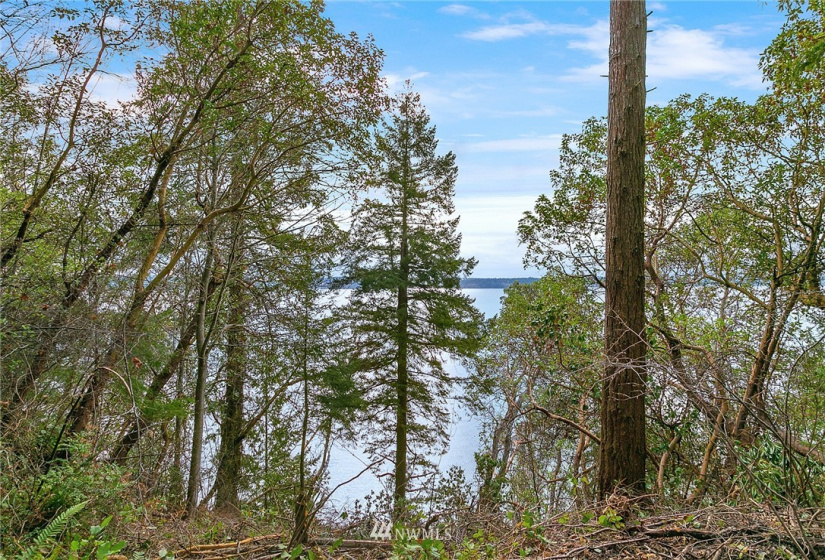 0 3rd, Fox Island, Washington 98333, ,Land,For Sale,3rd,NWM1860983