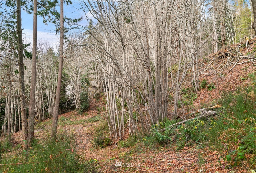 0 3rd, Fox Island, Washington 98333, ,Land,For Sale,3rd,NWM1860983