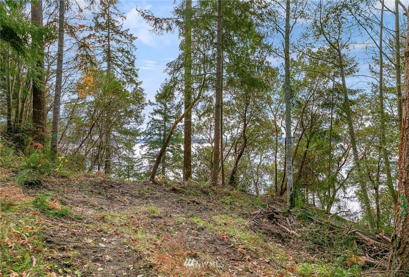 0 3rd, Fox Island, Washington 98333, ,Land,For Sale,3rd,NWM1860983