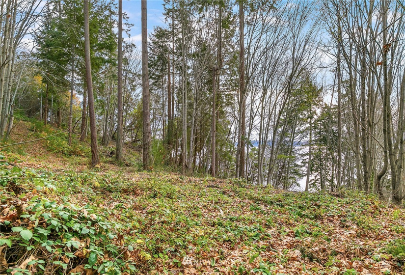0 3rd, Fox Island, Washington 98333, ,Land,For Sale,3rd,NWM1860983