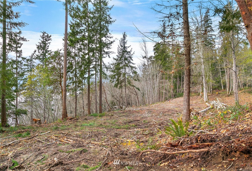 0 3rd, Fox Island, Washington 98333, ,Land,For Sale,3rd,NWM1860983
