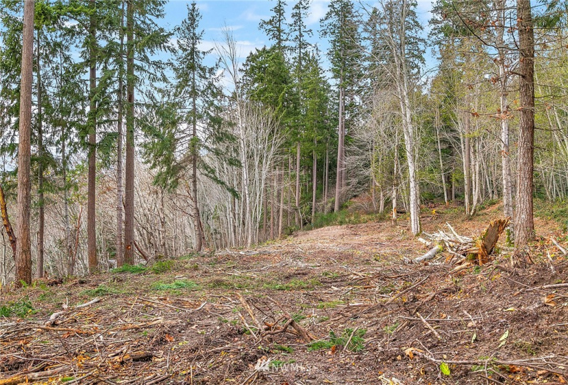 0 3rd, Fox Island, Washington 98333, ,Land,For Sale,3rd,NWM1860983