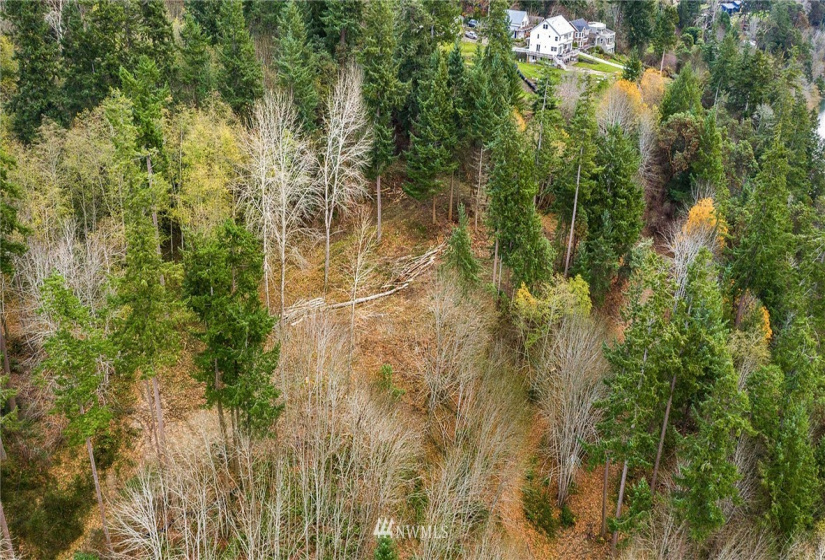 0 3rd, Fox Island, Washington 98333, ,Land,For Sale,3rd,NWM1860983