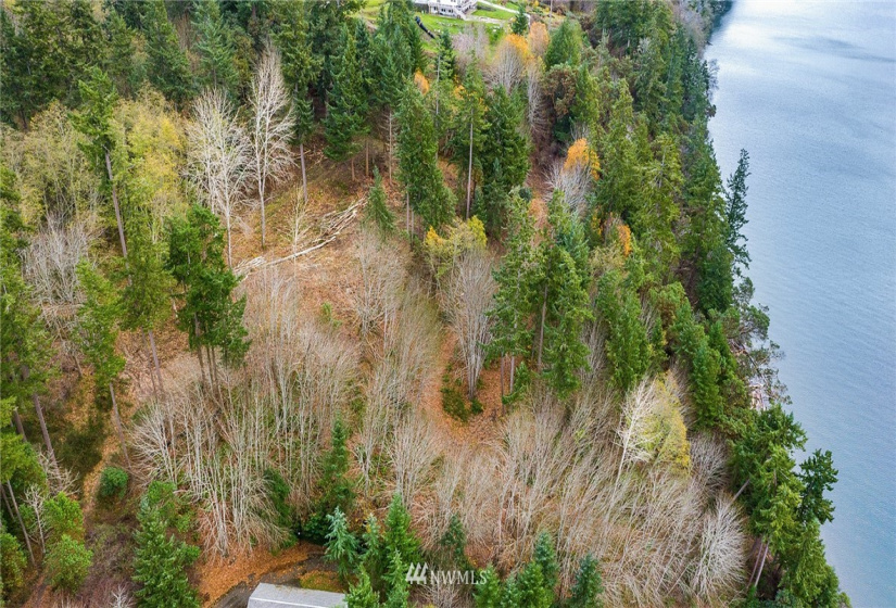 0 3rd, Fox Island, Washington 98333, ,Land,For Sale,3rd,NWM1860983