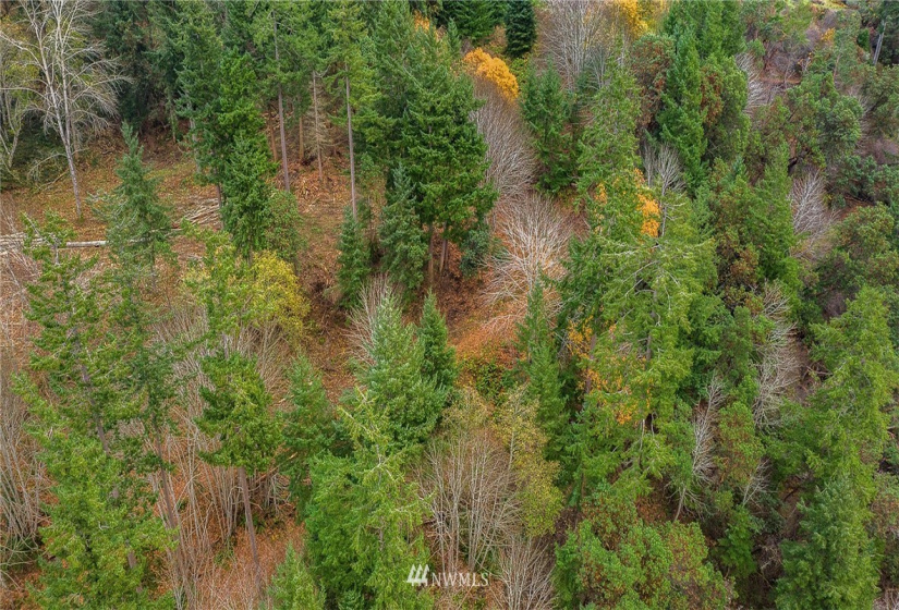 0 3rd, Fox Island, Washington 98333, ,Land,For Sale,3rd,NWM1860983