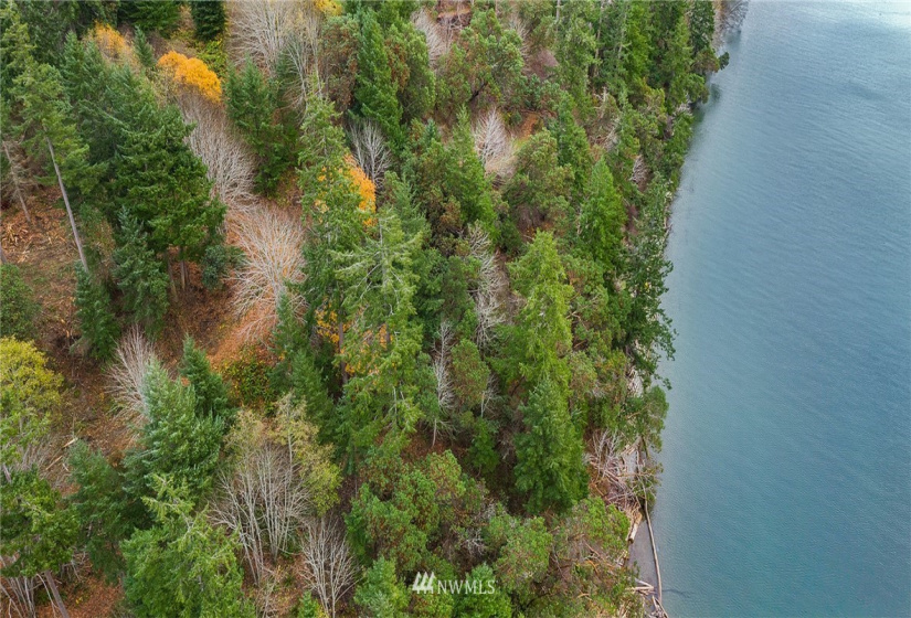 0 3rd, Fox Island, Washington 98333, ,Land,For Sale,3rd,NWM1860983