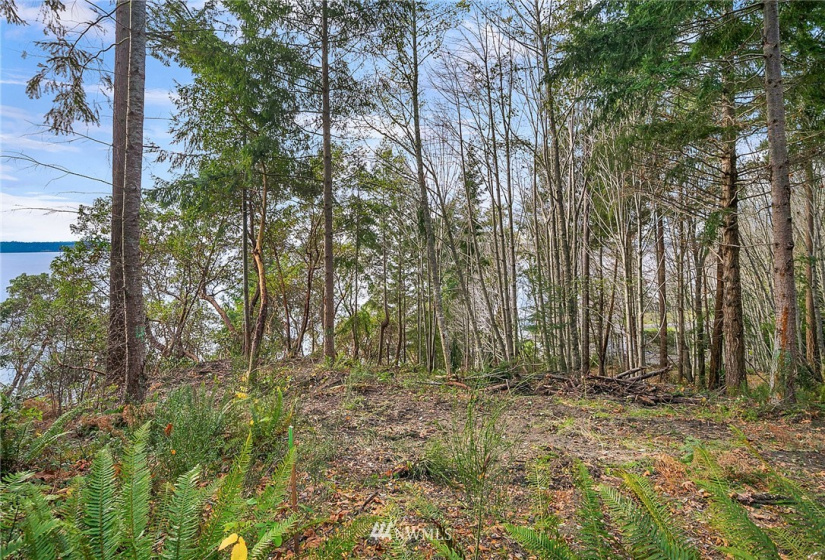0 3rd, Fox Island, Washington 98333, ,Land,For Sale,3rd,NWM1860983