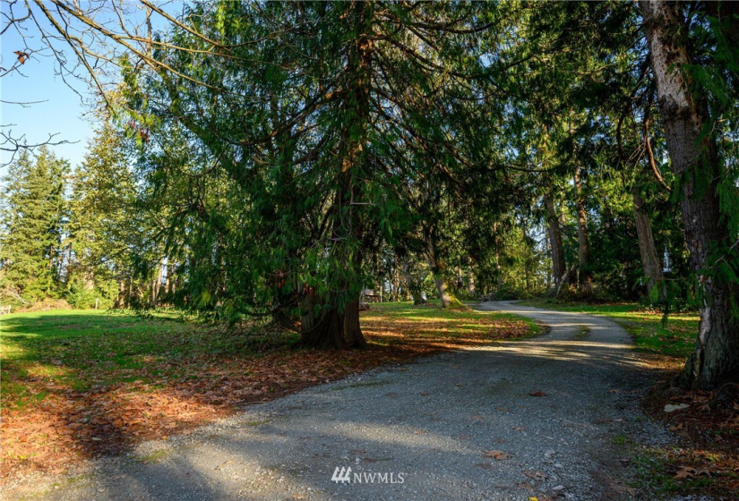 9443 Bayview Edison, Bow, Washington 98232, 2 Bedrooms Bedrooms, ,1 BathroomBathrooms,Residential,For Sale,Bayview Edison,NWM1870358
