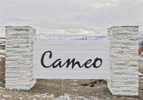 3 Sailing Hawk, Manson, Washington 98831, ,Land,For Sale,Cameo Development,Sailing Hawk,NWM1868674