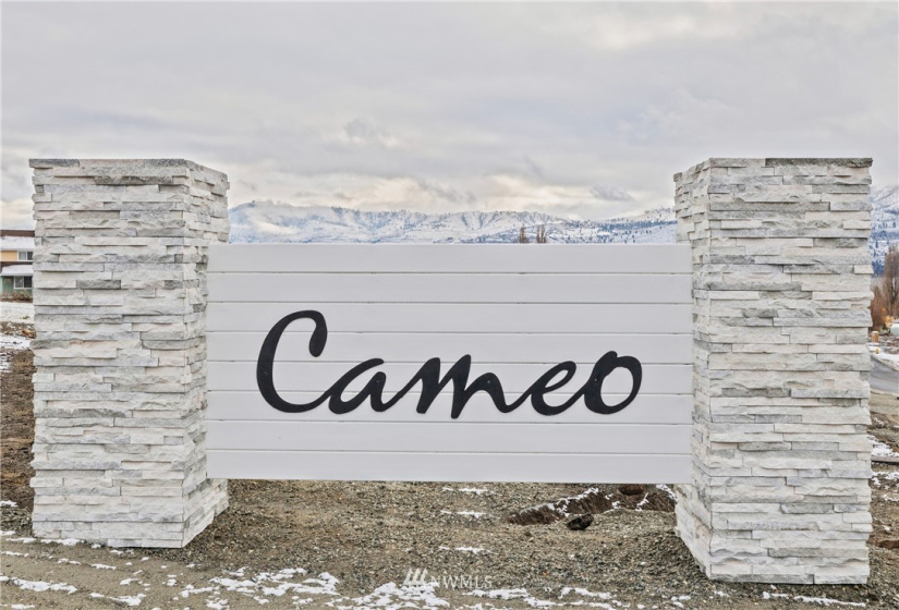 19 Sailing Hawk, Manson, Washington 98831, ,Land,For Sale,Cameo Development,Sailing Hawk,NWM1868698