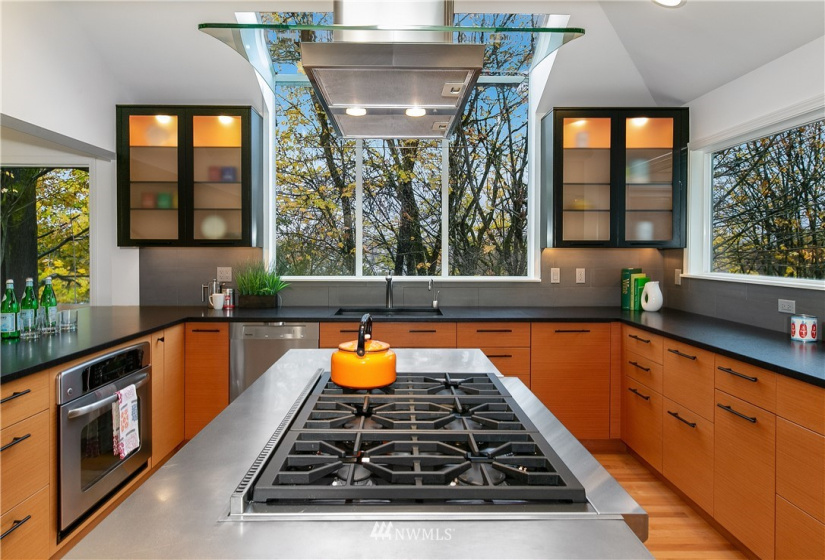1528 Interlaken, Seattle, Washington 98112, 4 Bedrooms Bedrooms, ,2 BathroomsBathrooms,Residential,For Sale,Interlaken,NWM1868114