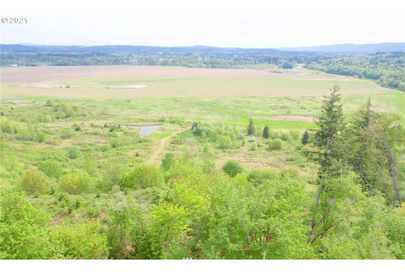 0 Toledo Vader, Toledo, Washington 98591, ,Land,For Sale,Toledo Vader,NWM1871323