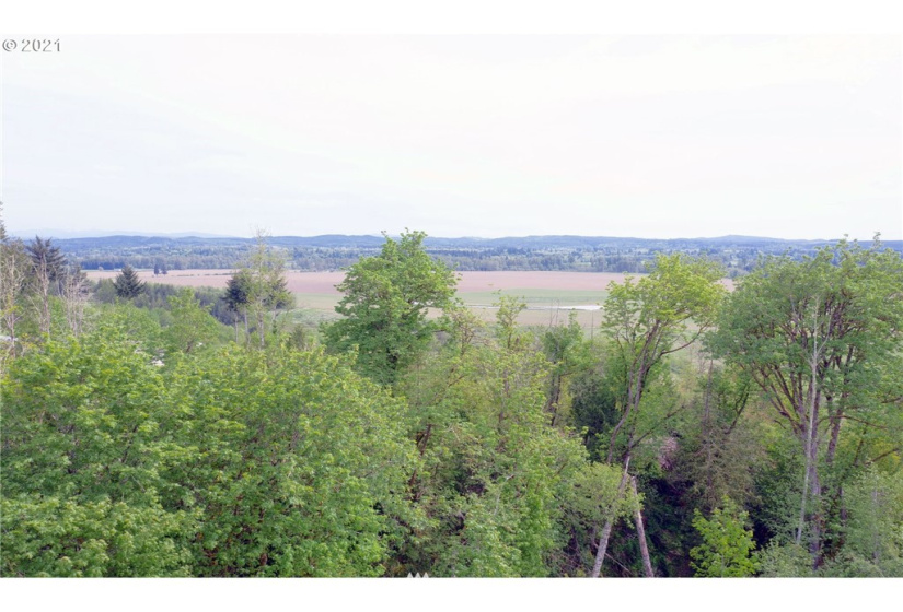 0 Toledo Vader, Toledo, Washington 98591, ,Land,For Sale,Toledo Vader,NWM1871323