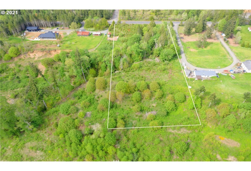 0 Toledo Vader, Toledo, Washington 98591, ,Land,For Sale,Toledo Vader,NWM1871323
