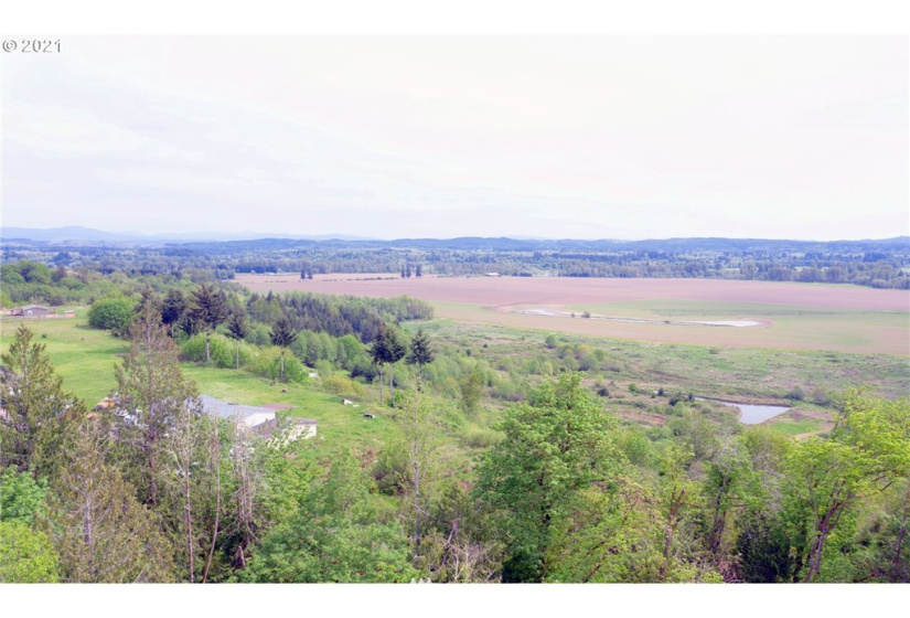 0 Toledo Vader, Toledo, Washington 98591, ,Land,For Sale,Toledo Vader,NWM1871323