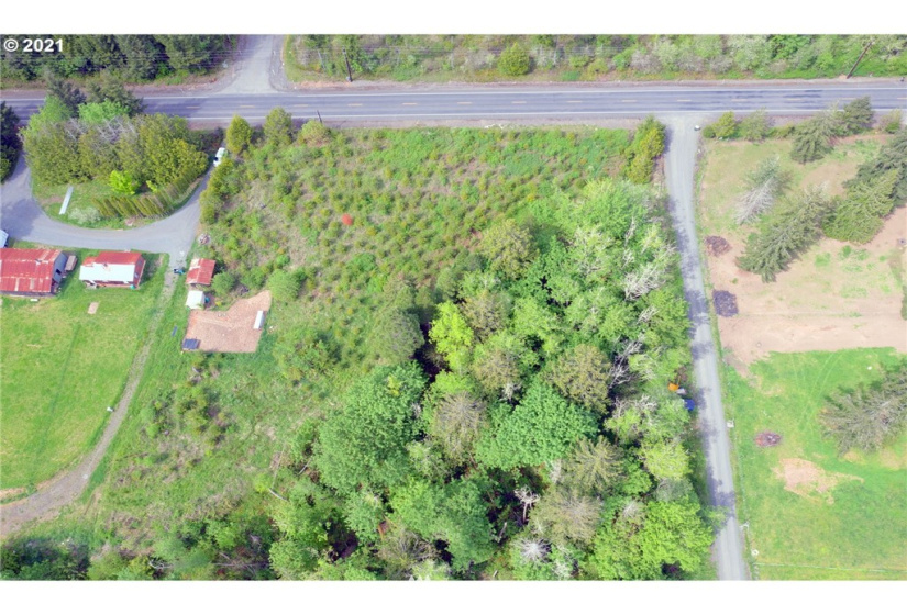 0 Toledo Vader, Toledo, Washington 98591, ,Land,For Sale,Toledo Vader,NWM1871323