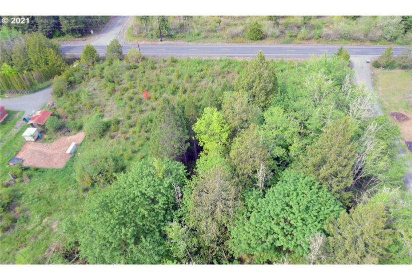 0 Toledo Vader, Toledo, Washington 98591, ,Land,For Sale,Toledo Vader,NWM1871323
