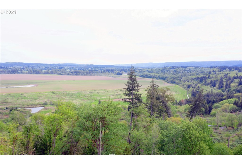 0 Toledo Vader, Toledo, Washington 98591, ,Land,For Sale,Toledo Vader,NWM1871323