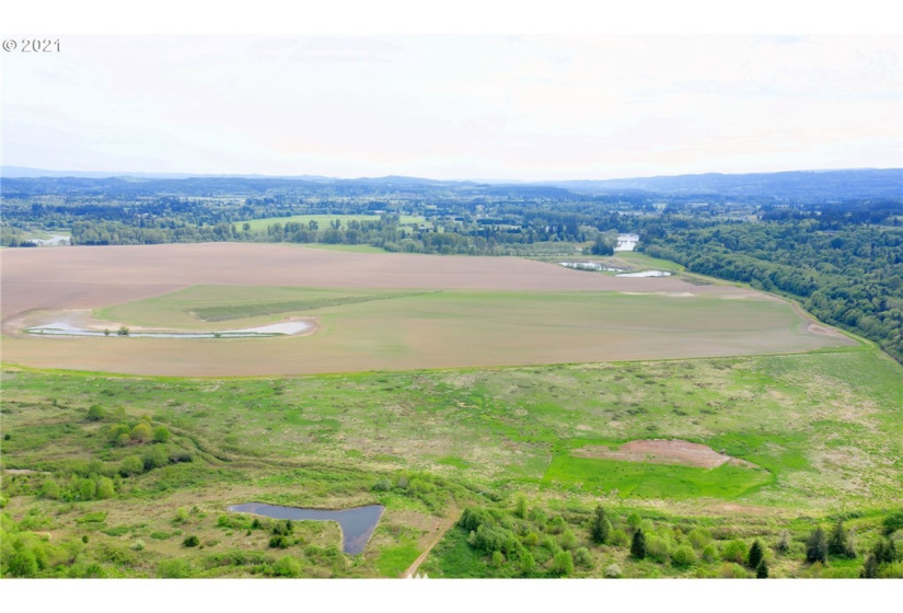 0 Toledo Vader, Toledo, Washington 98591, ,Land,For Sale,Toledo Vader,NWM1871323