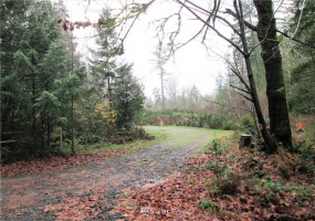 3814 Reeves, Longbranch, Washington 98351, ,Land,For Sale,Reeves,NWM1870213