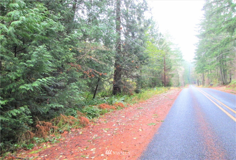 3814 Reeves, Longbranch, Washington 98351, ,Land,For Sale,Reeves,NWM1870213