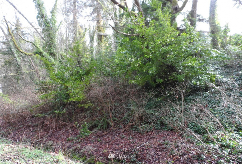950 Woodmont Beach, Des Moines, Washington 98198, ,Land,For Sale,Woodmont Beach,Woodmont Beach,NWM1870071