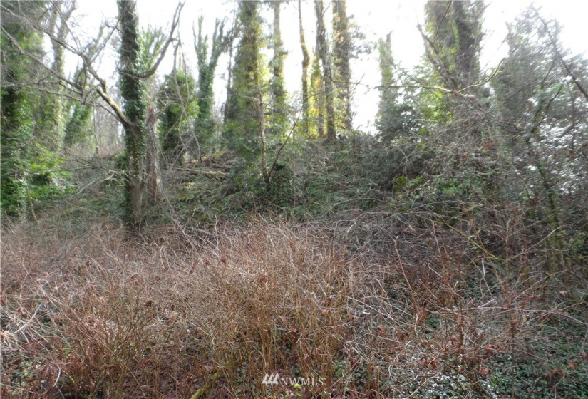 950 Woodmont Beach, Des Moines, Washington 98198, ,Land,For Sale,Woodmont Beach,Woodmont Beach,NWM1870071