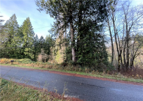448 XX Edgewick, North Bend, Washington 98045, ,Land,For Sale,Edgewick,NWM1871502