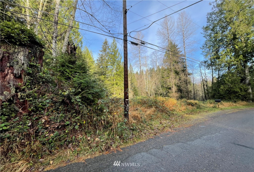 448 XX Edgewick, North Bend, Washington 98045, ,Land,For Sale,Edgewick,NWM1871502