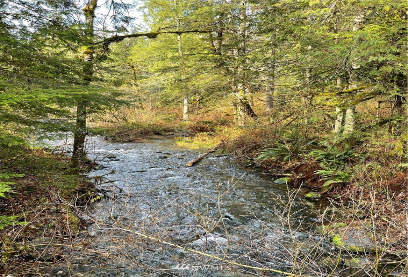 448 XX Edgewick, North Bend, Washington 98045, ,Land,For Sale,Edgewick,NWM1871502