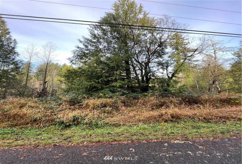 448 XX Edgewick, North Bend, Washington 98045, ,Land,For Sale,Edgewick,NWM1871502