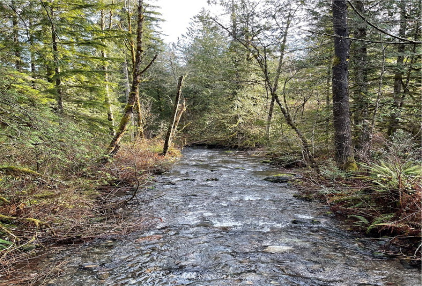 448 XX Edgewick, North Bend, Washington 98045, ,Land,For Sale,Edgewick,NWM1871502