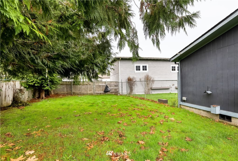 215 Monroe, Ryderwood, Washington 98581, 3 Bedrooms Bedrooms, ,1 BathroomBathrooms,Residential,For Sale,Ryderwood 1,Monroe,NWM1864328