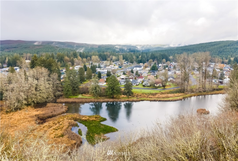 215 Monroe, Ryderwood, Washington 98581, 3 Bedrooms Bedrooms, ,1 BathroomBathrooms,Residential,For Sale,Ryderwood 1,Monroe,NWM1864328