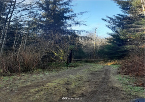9912 Mina Smith, Forks, Washington 98331, ,Land,For Sale,Mina Smith,NWM1871528